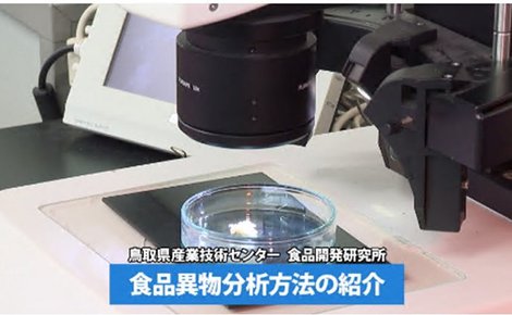 食品異物分析方法の紹介（2025年9月）